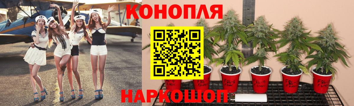 МАРИХУАНА сатива Братск